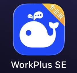 WorkPlus SE